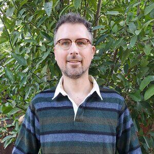 Zara cozy wool long sleeve striped polo grey, green, brown white collar